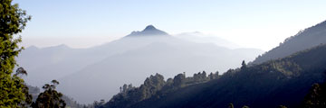 Kodaikanal